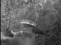 Ramsey Park Paths and Bridges